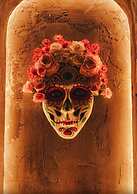 Harrison on the Beach