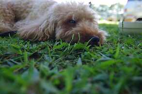 PICNIC GARDEN - Glamping