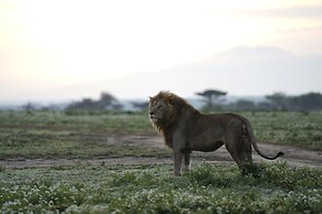 Anantya Serengeti