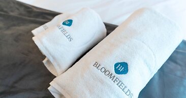 Modern Studio in Oasis -607