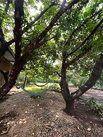 Drift Away Lodge