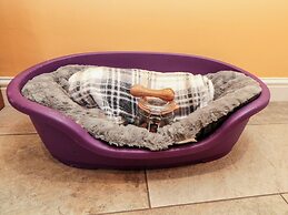 50 West Street Edelweiss