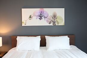 The Diamond Collection