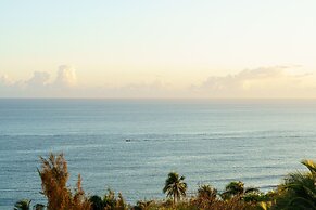 Red Flamboyan Guesthouse