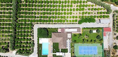 Sicily Summer Breeze