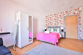 Princess Lofts Studios - Swansea City Centre