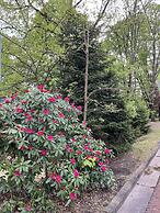 Highland Bed & Breakfast