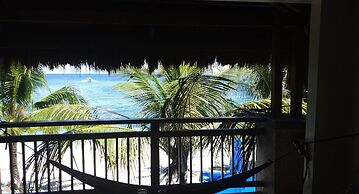 Birdwatchers Beachfront Hotel Panglao