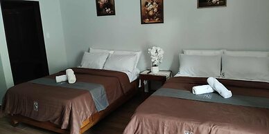 Birdwatchers Beachfront Hotel Panglao