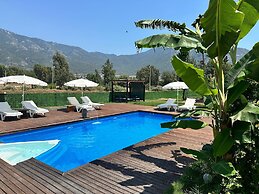 Pine Village Bungalows Ölüdeniz