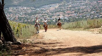 Pine Village Bungalows Ölüdeniz