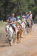 Pine Village Bungalows Ölüdeniz