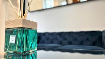 Historical Luxury Homes - Deluxe Edition