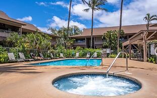 Modern & Tropical Oceanside Vistas