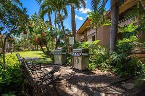 Airy Coastal Dream Vistas