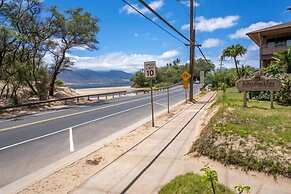 Airy Coastal Dream Vistas