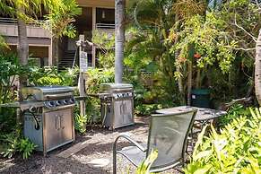 Airy Coastal Dream Vistas