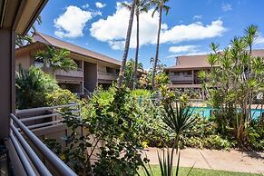 Airy Coastal Dream Vistas