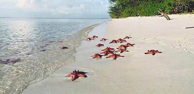 Lalisa Hotel Grand World Phu Quoc