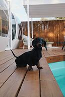 La Dehesa Experiences