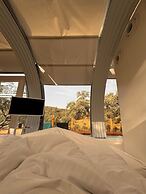 La Dehesa Experiences