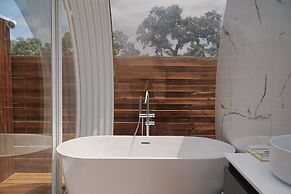 La Dehesa Experiences