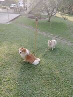 Hotel Boutique Rosse