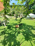 Hotel Boutique Rosse