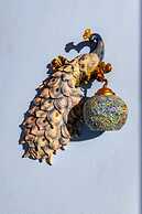 The Seventh Heaven Resort & Ocean Stays