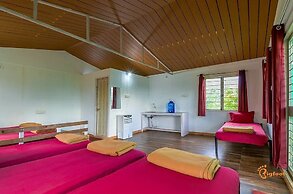 Mango Forest Agro Tourism Resort