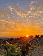 Hotel Bodegas Campestral