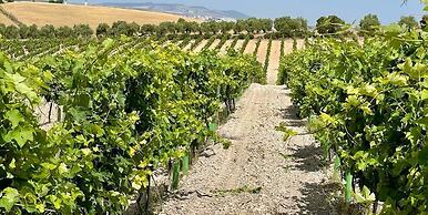 Hotel Bodegas Campestral