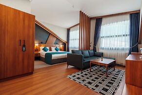 Library Hotel Erciyes