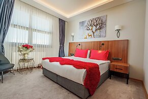 Library Hotel Erciyes