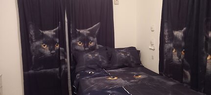 3 Bedrooms Rentals in Port Morant St Thomas