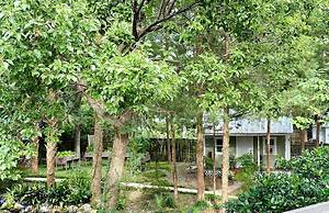 Grady House Bed & Breakfast