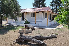 Seaside serenity apartment