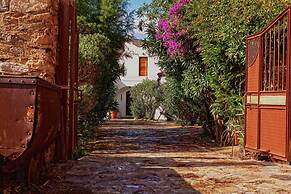 Faros Villa in Megalo Livadi