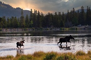 Solitude Longs Peak Suite 201 - Estes Park 1 Bedroom Studio by Redawni