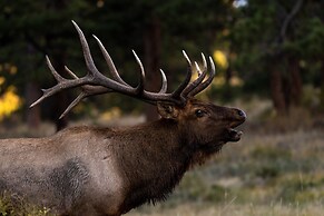 Solitude Longs Peak Suite 201 - Estes Park 1 Bedroom Studio by RedAwni