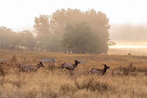 Solitude Longs Peak Suite 201 - Estes Park 1 Bedroom Studio by RedAwni