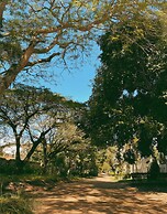 Contêiner 10 Hospedagem