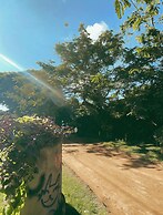 Contêiner 10 Hospedagem