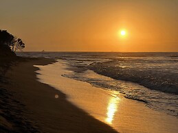 Contêiner 10 Hospedagem