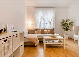 Apartment in the  center Vienna Austria