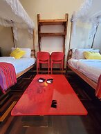 Edaala Comfort