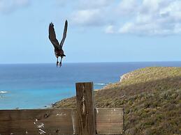 Concordia Eco-Resort