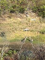 Concordia Eco-Resort