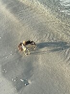 Concordia Eco-Resort