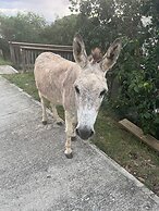 Concordia Eco-Resort